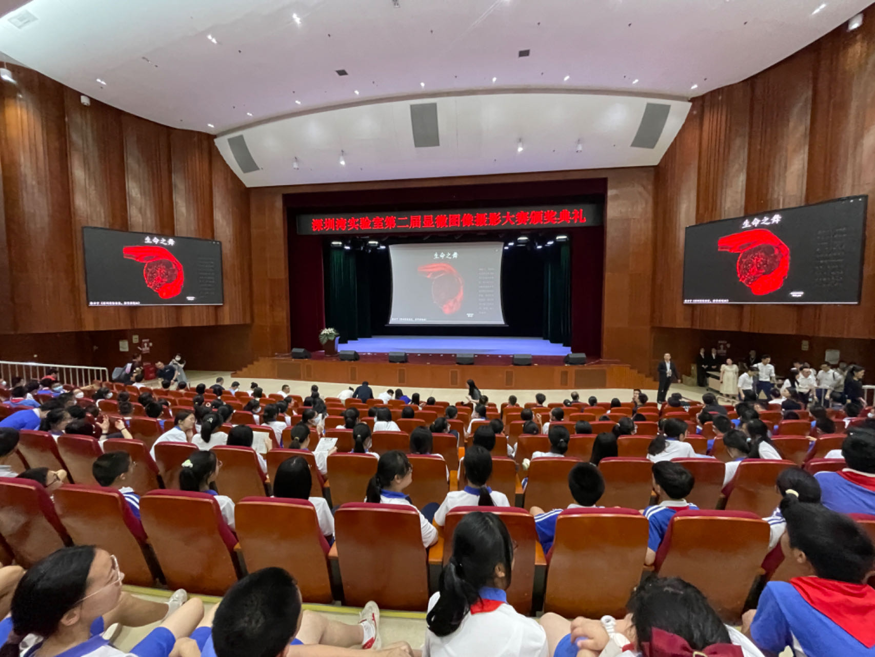 奖项揭晓！深圳湾实验室第二届显微图像摄影大赛收官