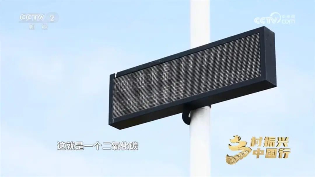 顺德美食、本土村宴、女子醒狮、醒狮酥……佛山顺德元素刷屏央视