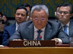 中国代表：美国的否决无情击碎巴勒斯坦人民几十年的梦想