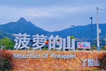 欢迎来“菠萝的山”！中山神湾菠萝文化旅游月4月29日开启