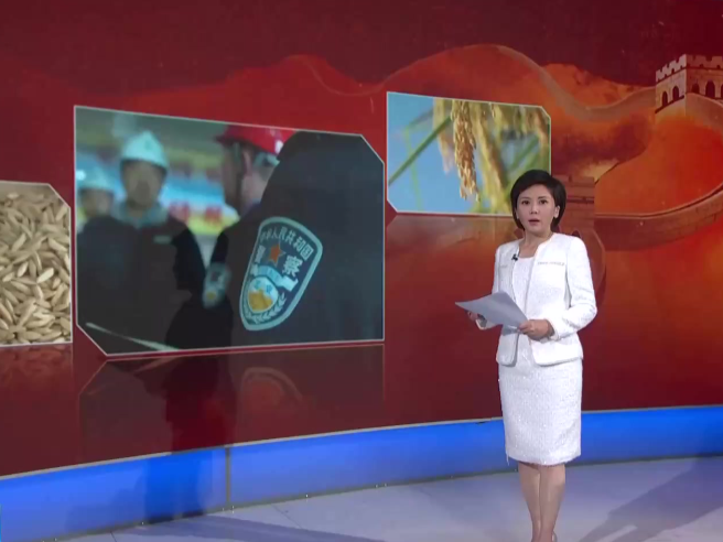守护国安 | 国家安全机关斩断窃取我国稻种及制种技术的境外“黑手”