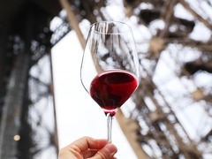 去年全球葡萄酒产量、消费量双降