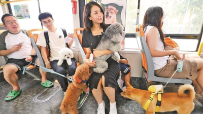 “深圳的狗狗还是很幸福的，出行能坐公交！”深圳首条宠物友好巴士在宝安发车