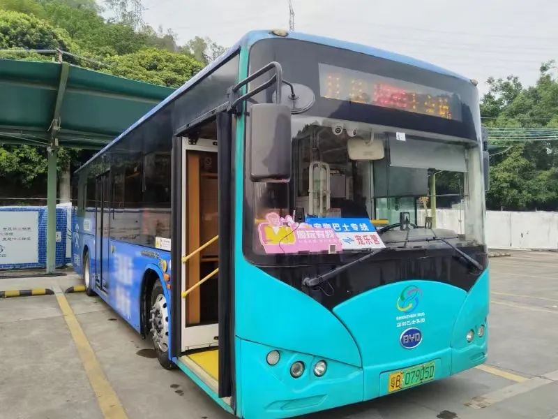 深圳首条宠物友好巴士线路开通！每周末及法定节假日运行