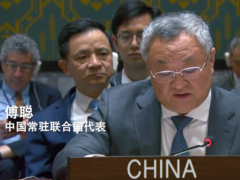 中国代表：不能再回避巴勒斯坦人民独立建国的夙愿