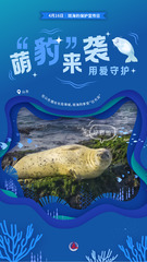 （图表·海报）斑海豹保护宣传日：萌“豹”来袭 用爱守护（5）