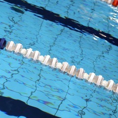 外媒报多名中国游泳选手阳性 世界反兴奋剂机构称报道具有“误导性和潜在诽谤性”