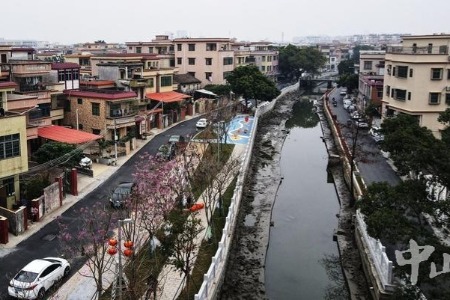 “水岸同治”添美景，居民不舍往外搬！港口民主社区绿色生态廊道给群众带来新生活