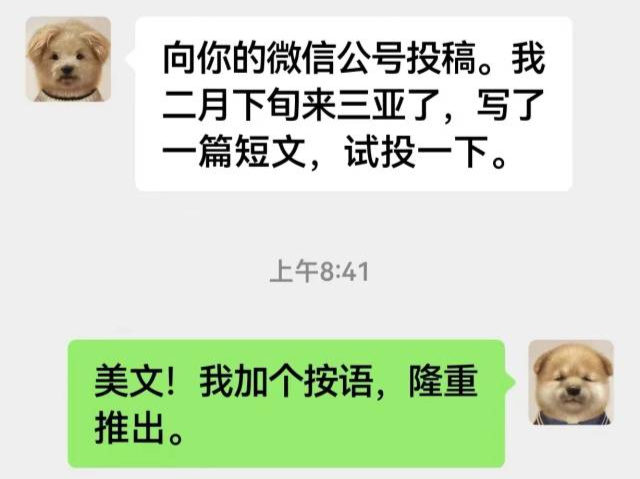 余华给莫言公众号投稿，微信头像亮了！网友：太可爱了，一下子就对上了