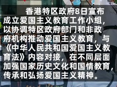 香港成立爱国主义教育工作小组 
