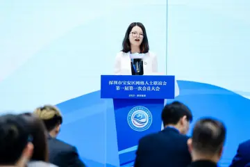 宝安区网联会副会长孙庆：数字营销的金牌“兔子”