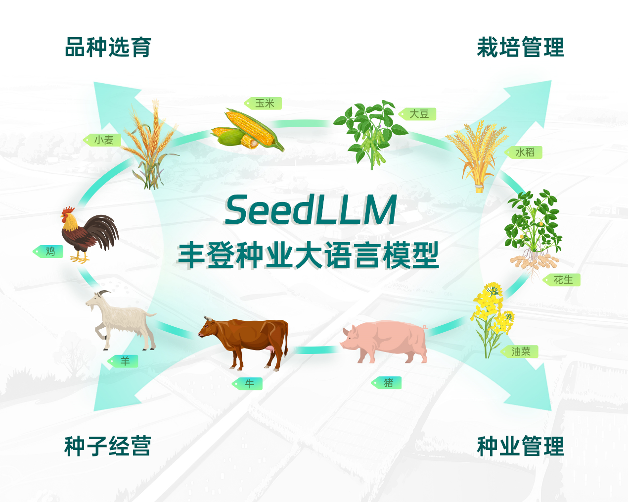 中国农业大学深圳研究院联合发布种业大语言模型“丰登”（SeedLLM）