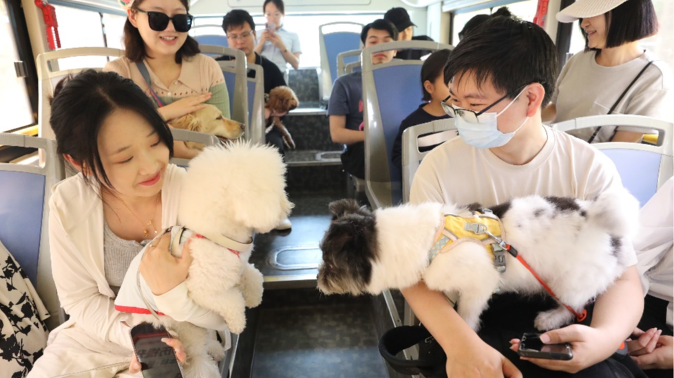 深圳首条宠物友好巴士在宝安发车
