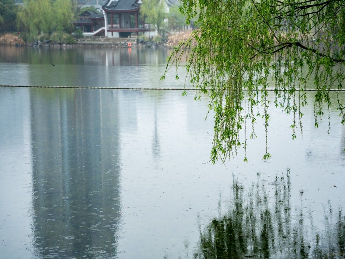 温度记 | 清明假期切换“雨纷纷”模式！注意防范强对流天气