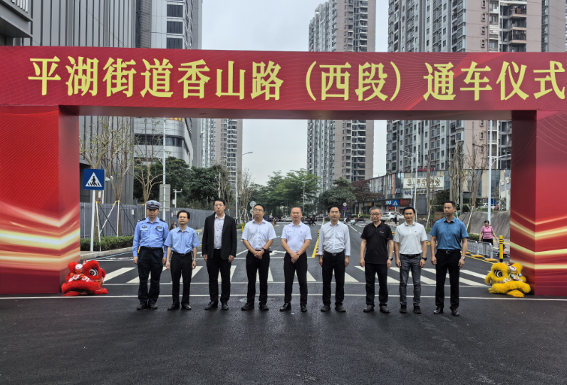 以公路“硬实力”提升营商“软环境”，平湖街道又一条“民生路”通车