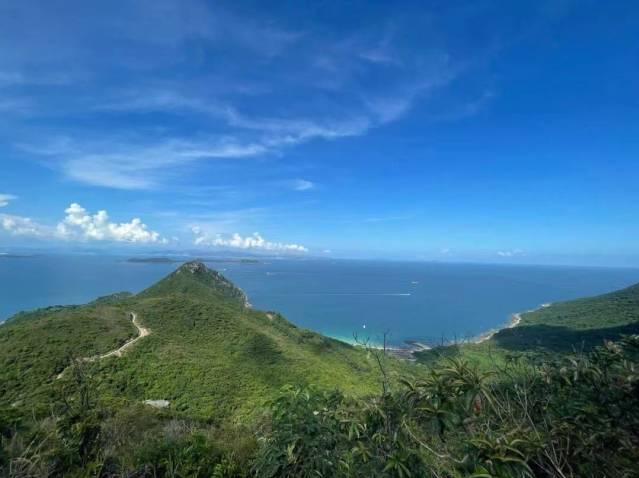 清明避开“人从众”，深圳版“上春山”有这些宝藏路线（附假期出行必看指南→）