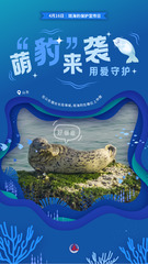 （图表·海报）斑海豹保护宣传日：萌“豹”来袭 用爱守护（6）