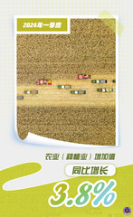 （图表·海报）数说中国·一季度经济数据丨2024年一季度农业（种植业）增加值同比增长3.8%