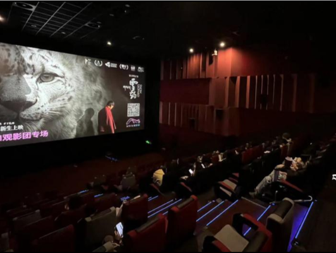 好评不断！ 《雪豹》全国路演进行中