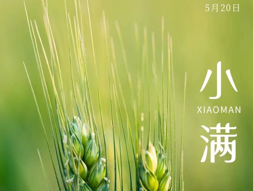 小满小满江河渐满，深圳已开启“雨雨雨”模式……