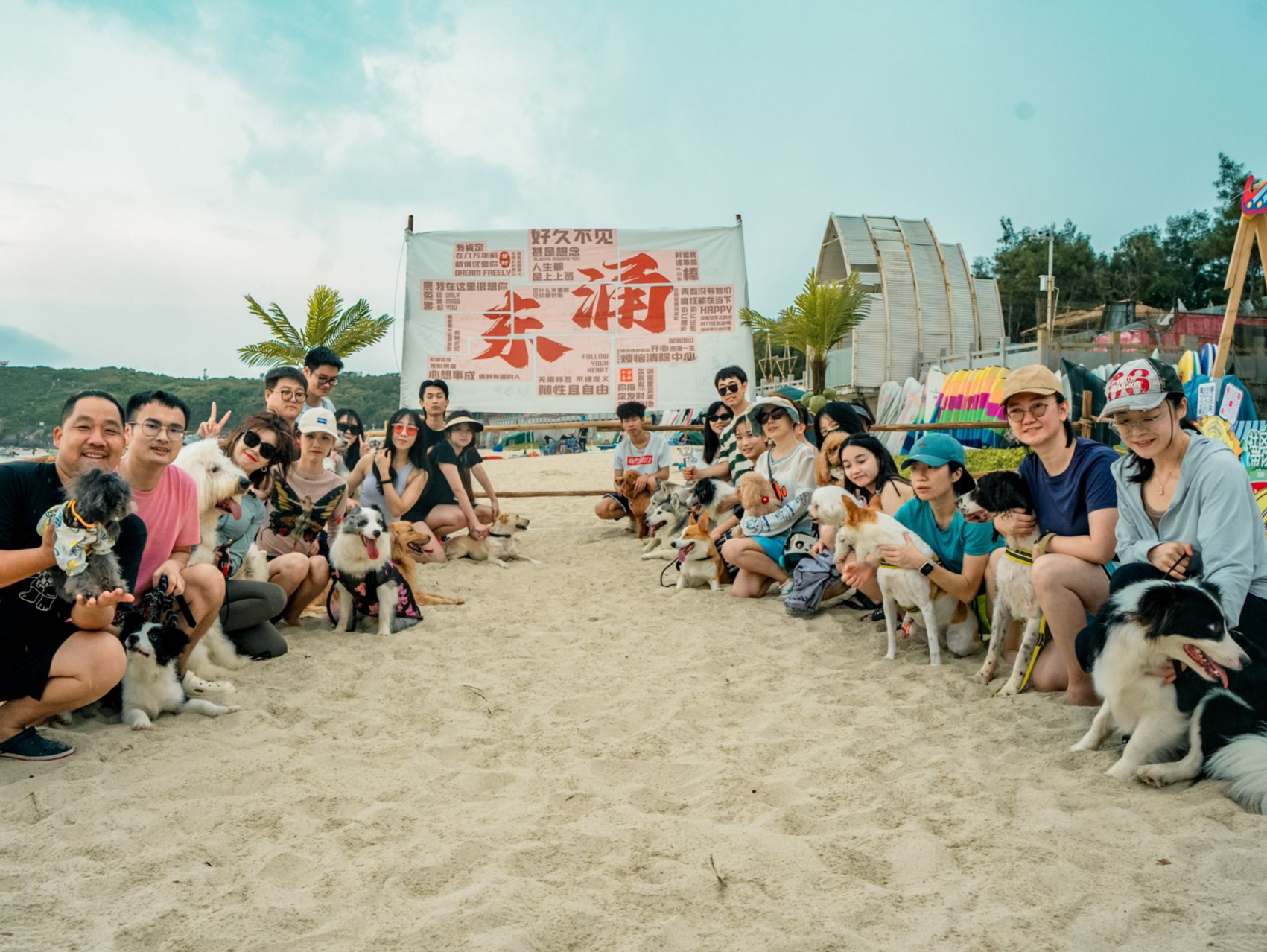 抓住新风口、解锁新玩法，深圳南澳东涌举办深圳首个沙滩景区萌宠节