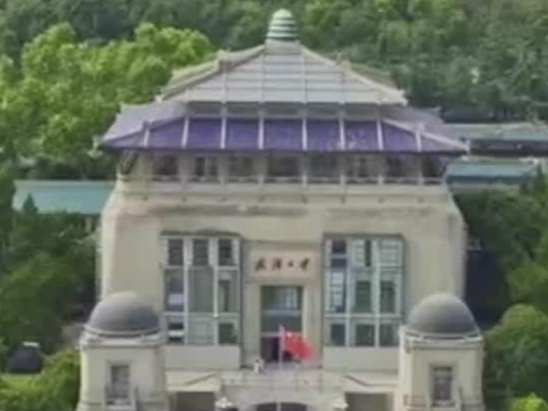 “选调生离职”事件引关注，武汉大学回应