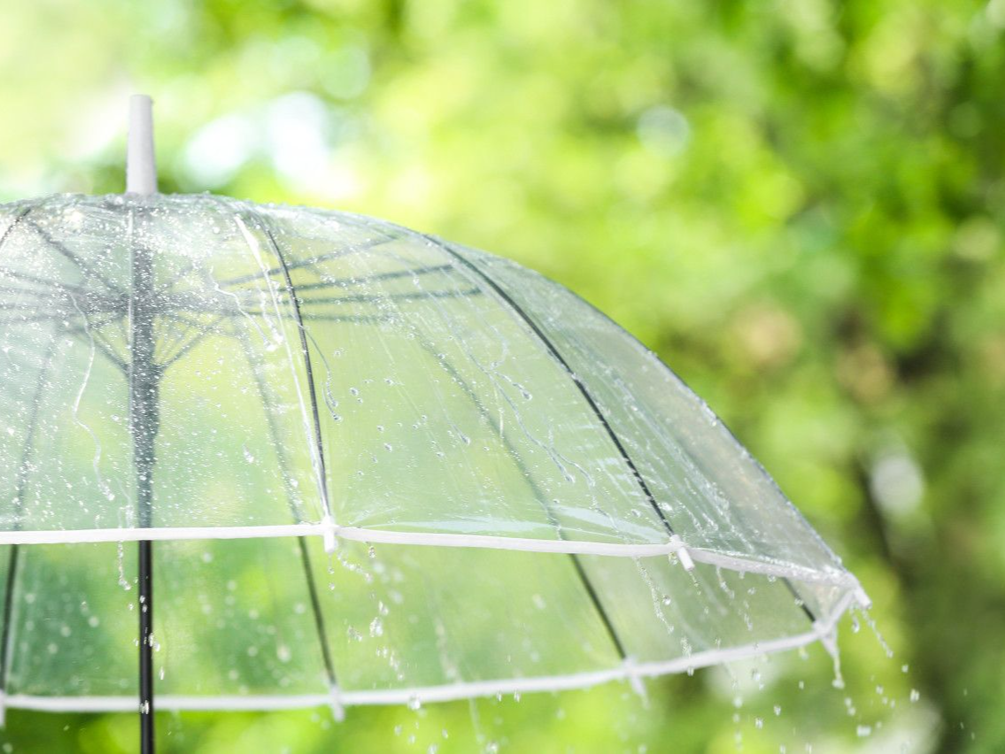 温度记｜阳光“躲猫猫”，阵雨雷雨随机派发！深圳er出门带伞