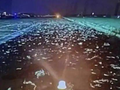 山航偏出跑道事件调查报告披露：机长视力不达标