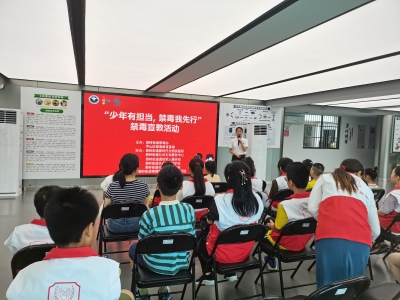 碧岭街道开展青少年禁毒宣传教育