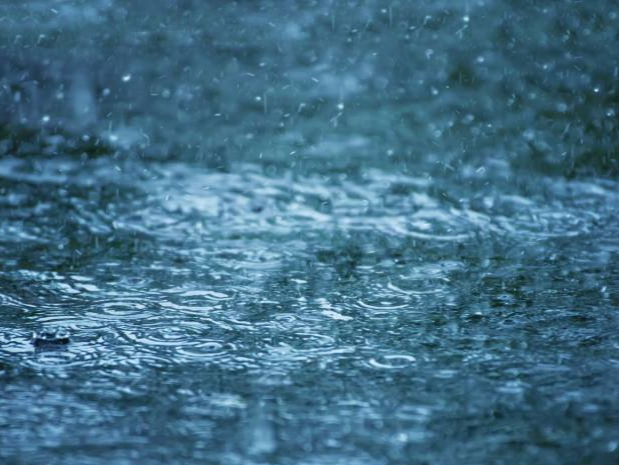 最近是捅了雨窝了吗？这些地方未来一周每天一场雨，局地还有暴雨大暴雨