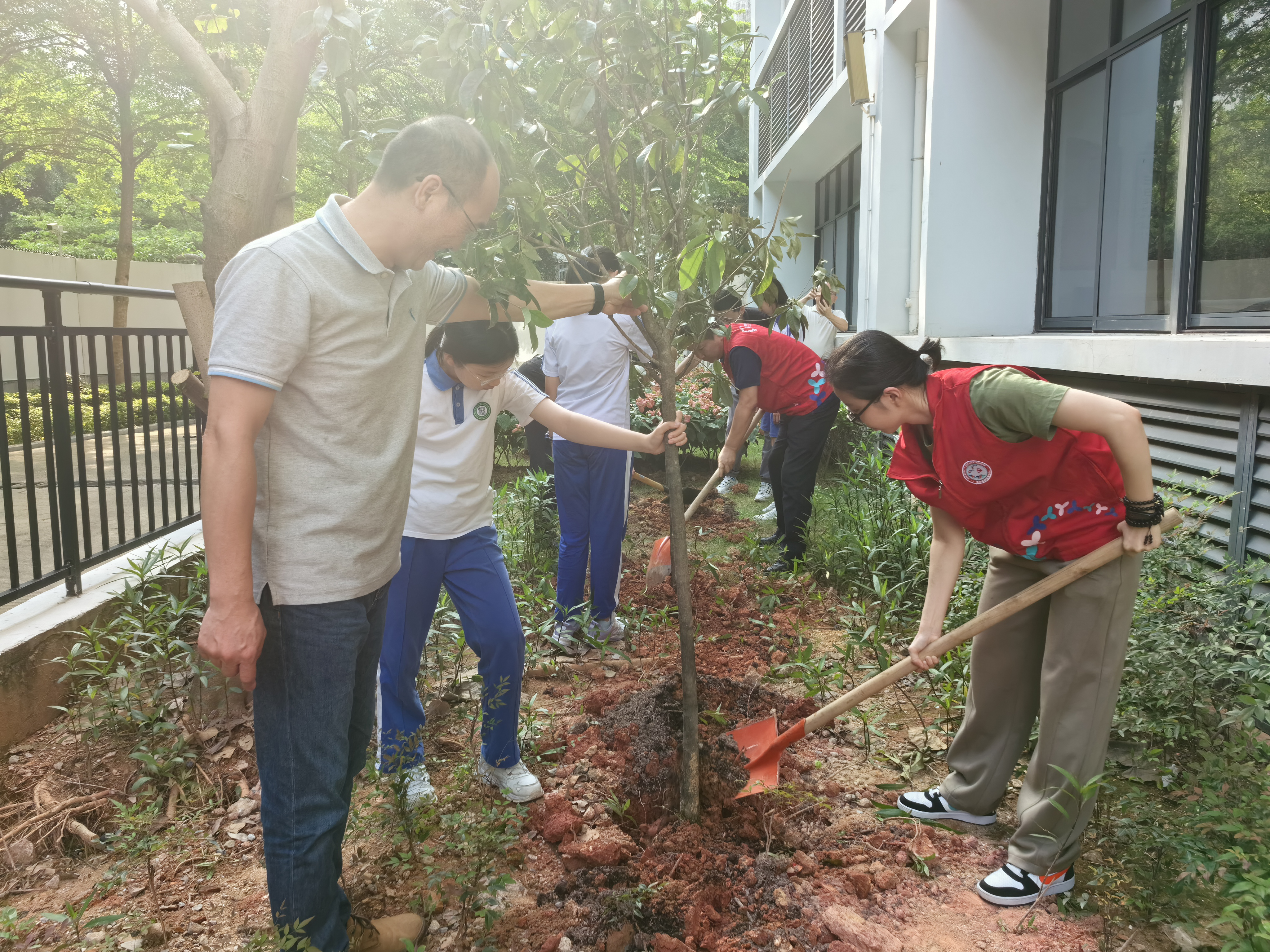 大塘龙社区联合红桂小学开展植树活动