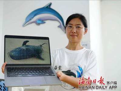浙江游客与三亚的“救鲸情缘”：因为“海棠”，我与三亚结缘