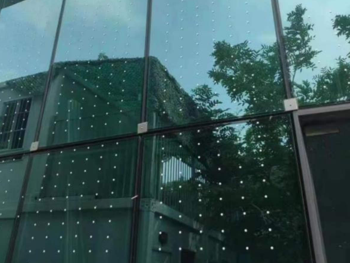 开展防“鸟撞”调查，福田打造候鸟迁徙无忧走廊