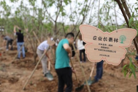 多部门联动,为中山翠亨国家湿地公园添新绿