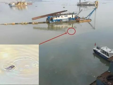 已约谈问责超百人！第三轮第二批中央生态环保督察全面进入下沉工作阶段