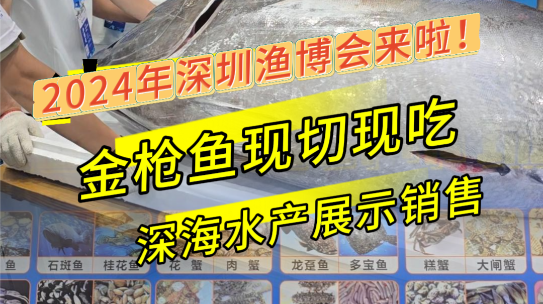 晶视频丨2024深圳渔博会来啦！金枪鱼现切现吃、深海水产展示销售……