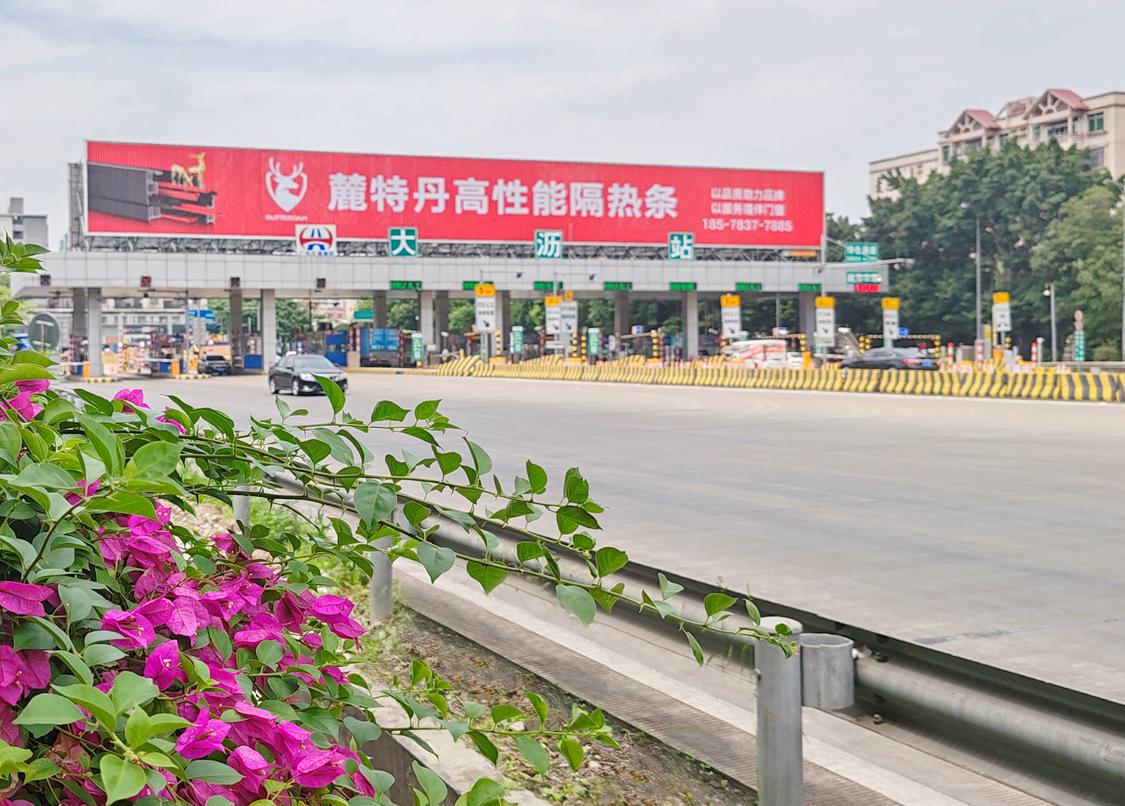 近万株绿植落户广佛高速，全“绿”以赴提升道路颜值