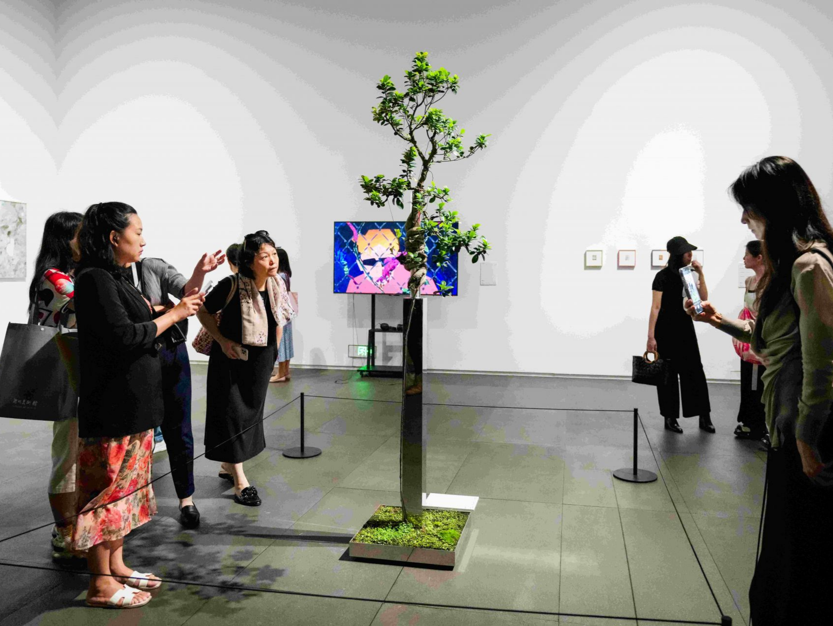 精彩！近40件作品齐聚“迁徙——中国当代艺术展”