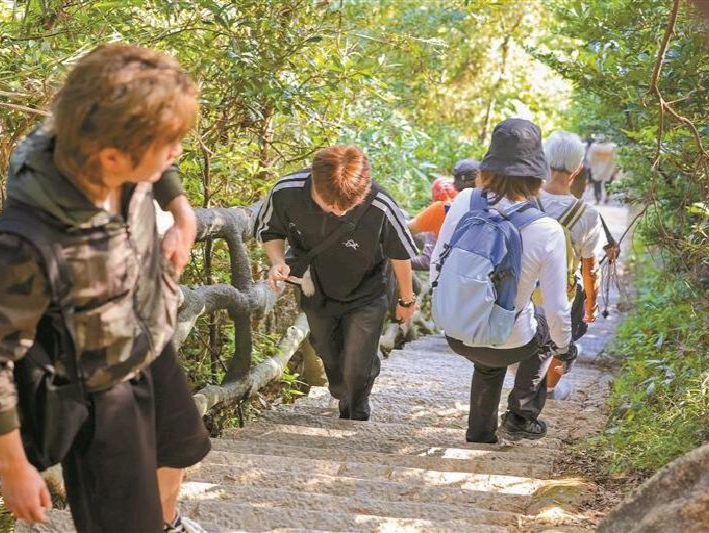 深圳已建成绿道总长约3406公里 骑行5分钟到达绿道真的可以有