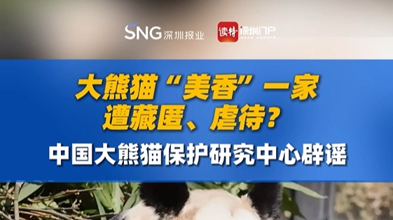 大熊猫“美香”一家遭藏匿、虐待？中国大熊猫保护研究中心辟谣