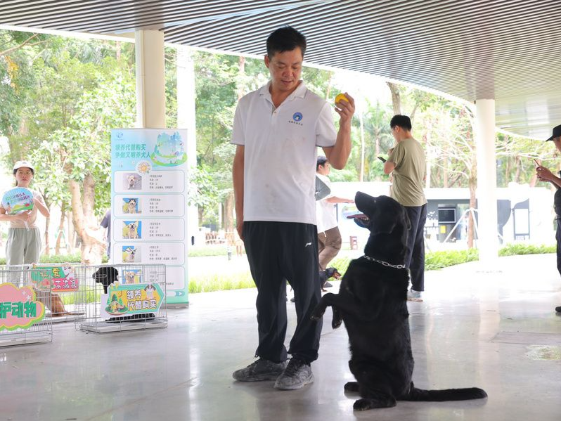第六届5·29深圳爱犬日：科学用芯养犬，共享城市文明