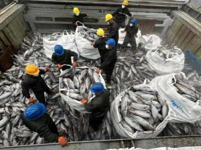 12000多种水产品邀您品尝！下周末相约2024深圳渔博会
