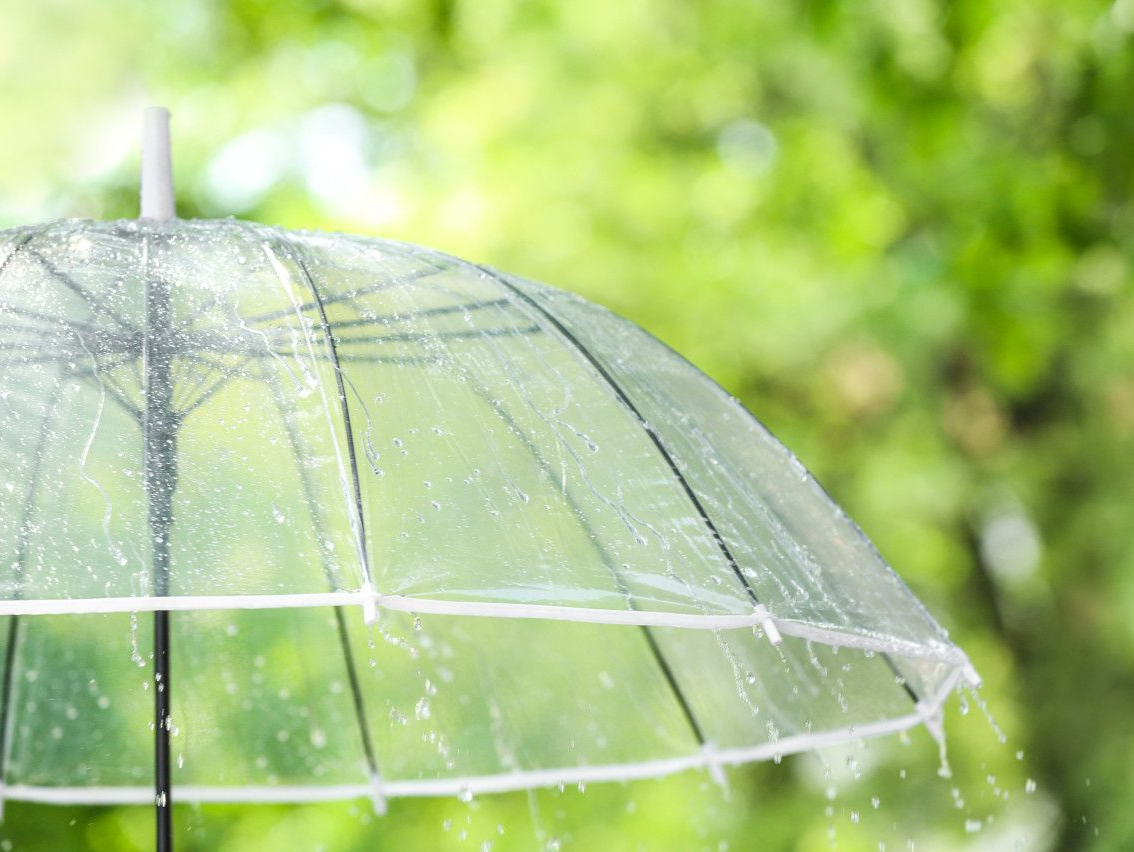 温度记｜“龙舟水”来势汹汹，深圳“雨雨雨”模式重启，请把伞焊在身上！