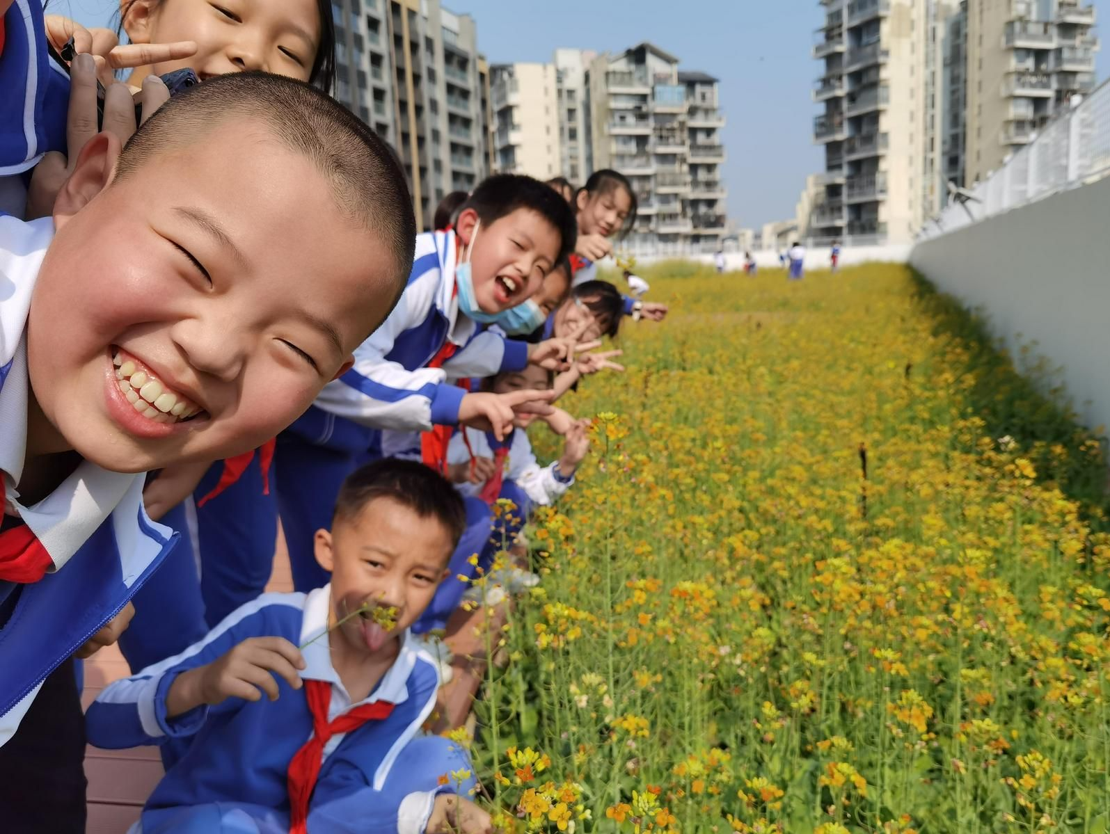 晶报特别报道 | 寓教于“农场”，给孩子们 一堂多彩的劳动课