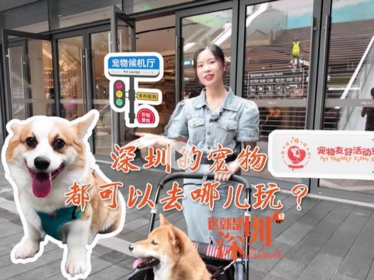 这就是深圳｜深圳的宠物都可以去哪儿玩？