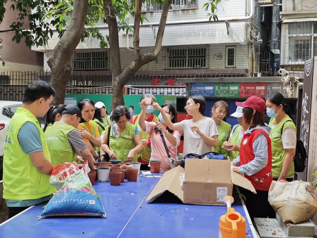 以“绿”为底，种出“花”样！南园街道巴登社区组织志愿者开展“绿美”行动