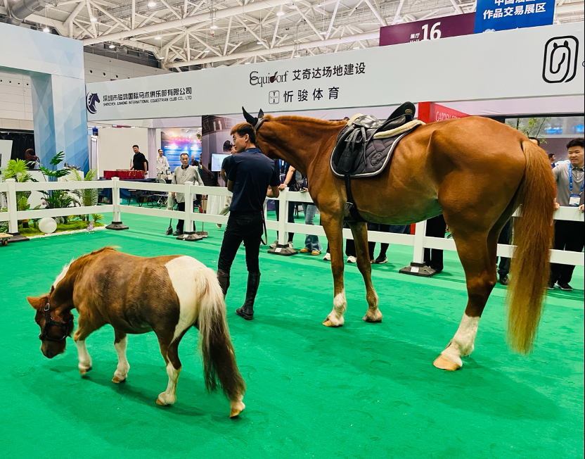 首次引进！在文博会上“骑”马，你心动了吗？