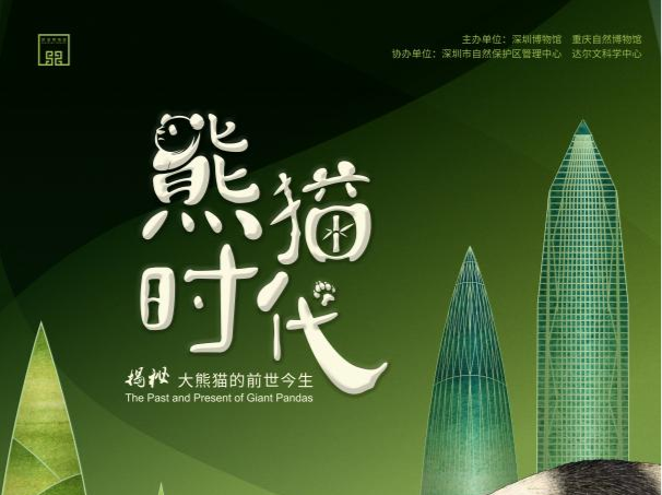 深圳博物馆举办三大展览 寓教于乐感受美育的魅力