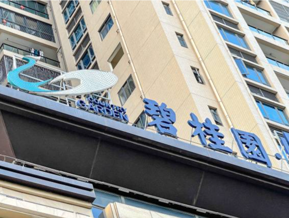 碧桂园主席杨惠妍：房地产行业一定会迎来春天
