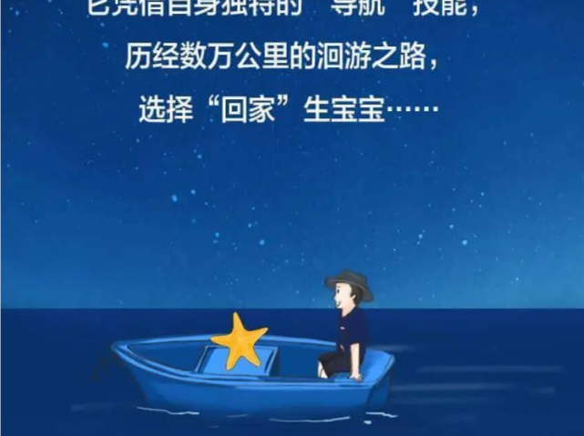 这个关于“回家”的故事，暖心又治愈！